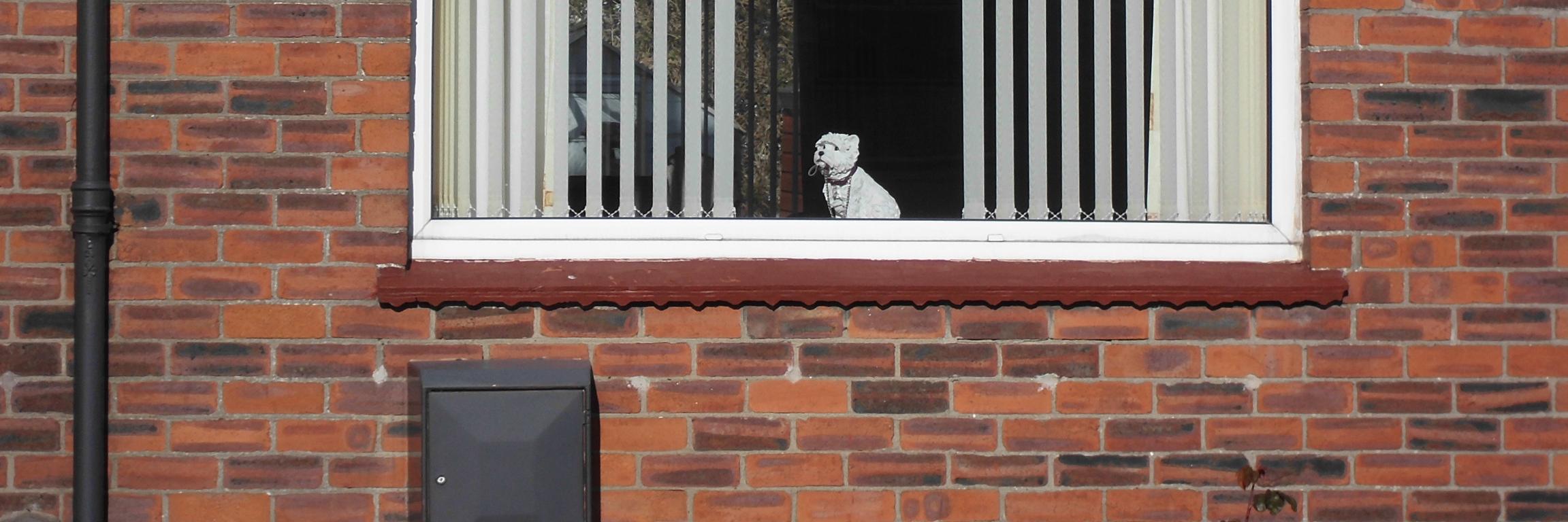 Henriette Schreurs banner