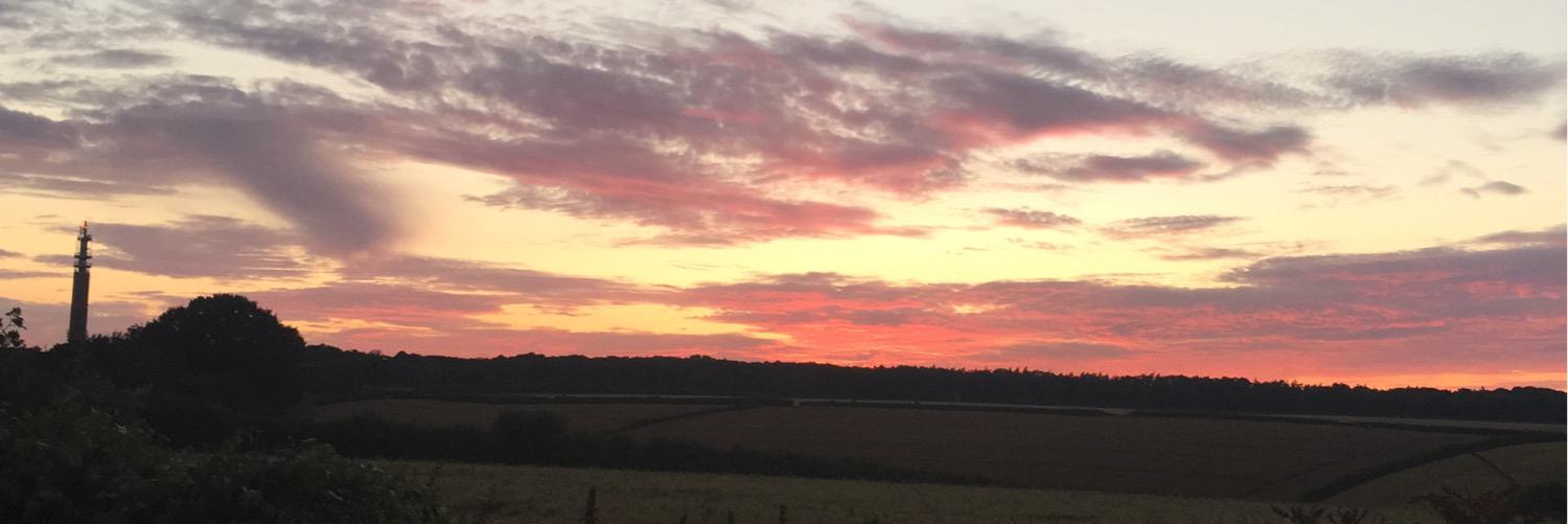 Steph Sergeant banner