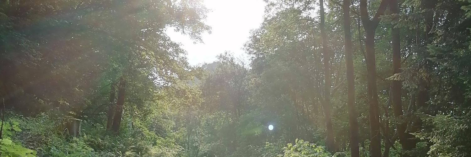 Alelat01's profile banner image