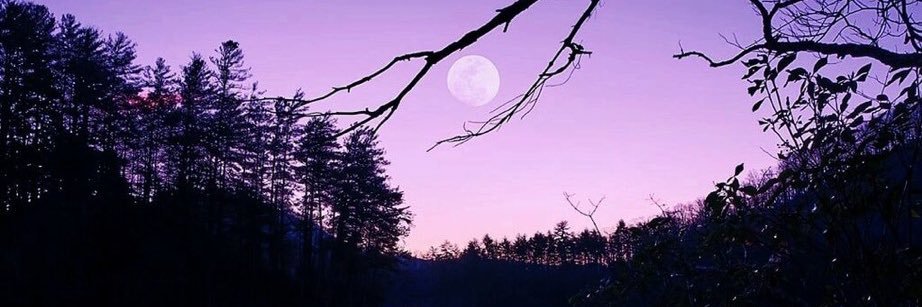 Sneakythief124's profile banner image
