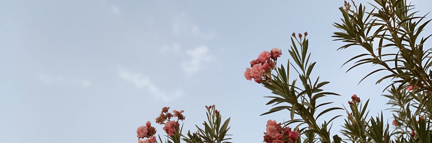 ZezaM112's profile banner image