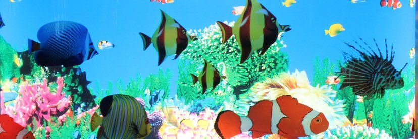 pixie banner