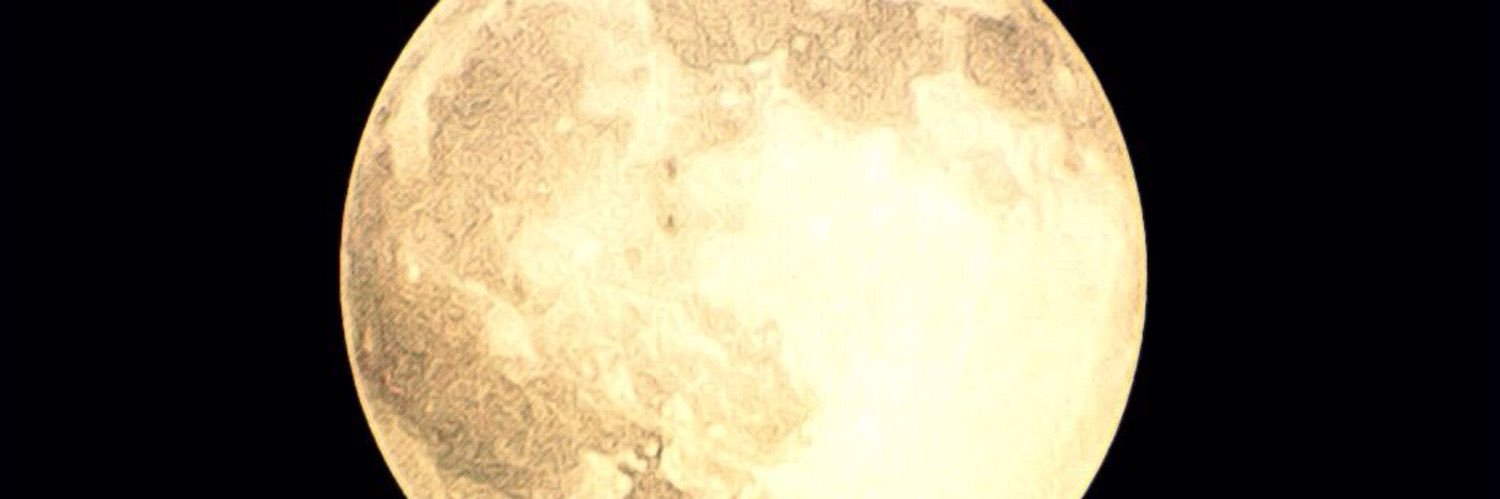 アヒルぅ(ahiruから、アヒル) 👵🍖 banner