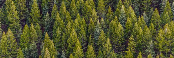 MalgosiaRybak Profile Banner