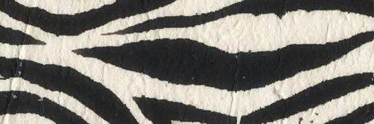 shasvie's profile banner image