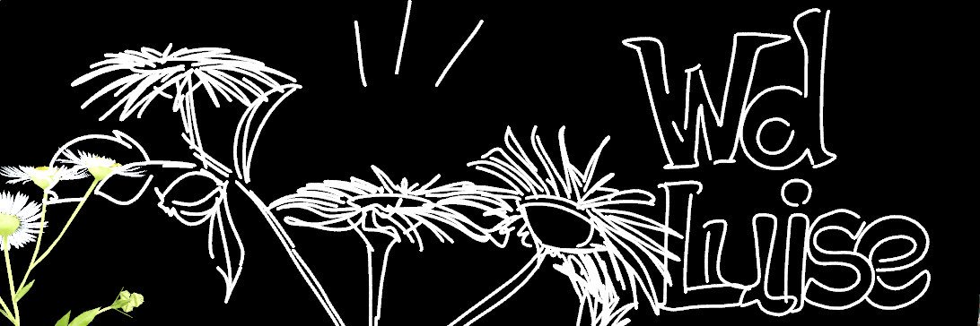 Wd_Luise's profile banner image