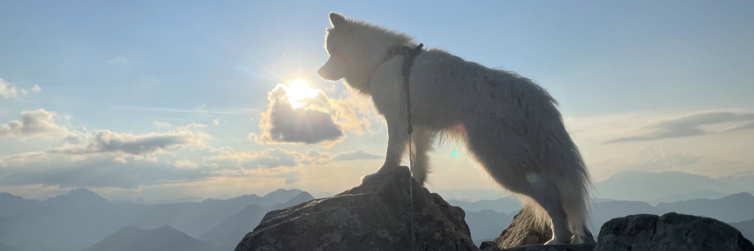 SeppWin's profile banner image