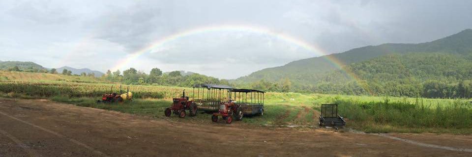 DarnellFarms's profile banner image
