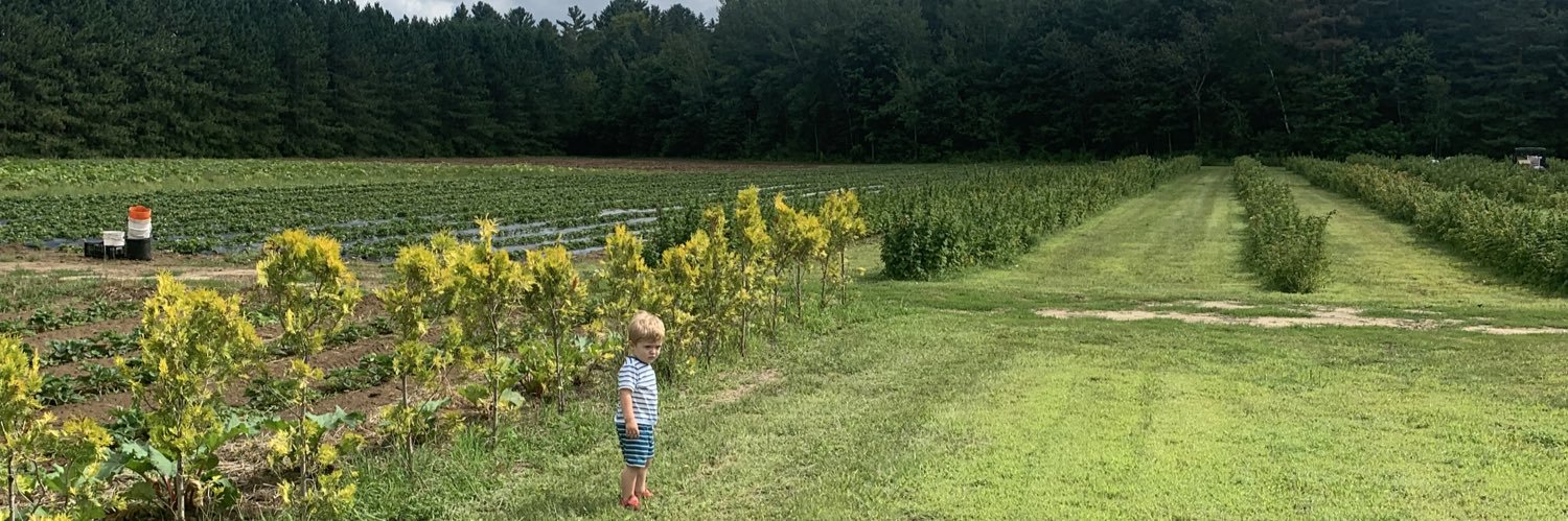 Stephen J. MacDonald banner