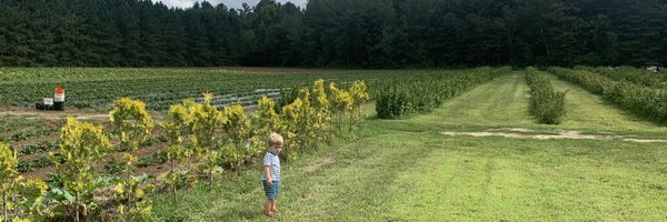 StephenJMac Profile Banner