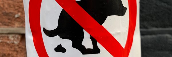 Shrlstn Profile Banner