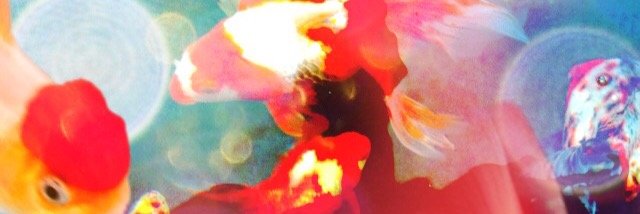 ponxx91's profile banner image