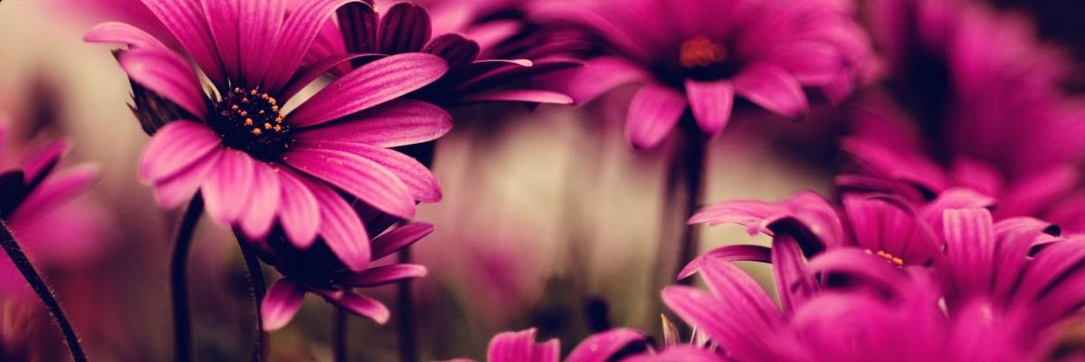 Tusadaq1's profile banner image
