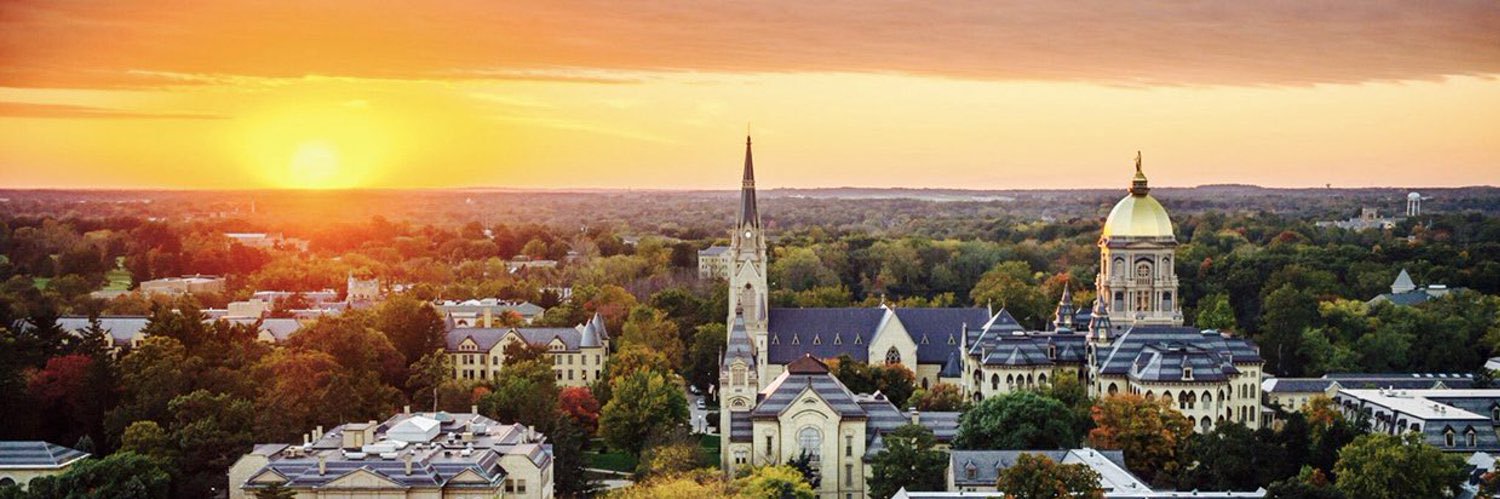 Marcus Wilson banner