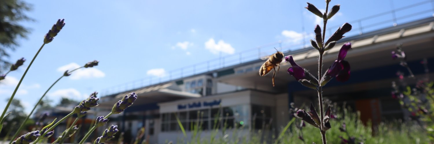 West Suffolk NHS FT 🏳️‍🌈 banner