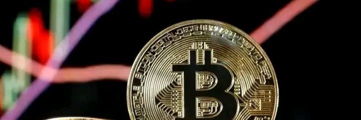 erc20king's profile banner image