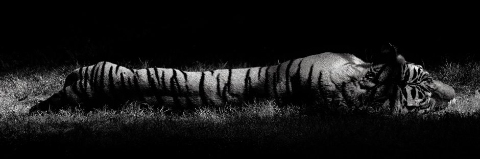 Роман banner