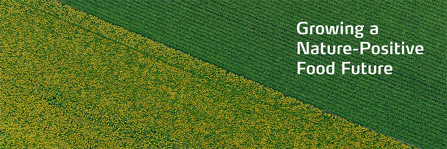 Yara International banner