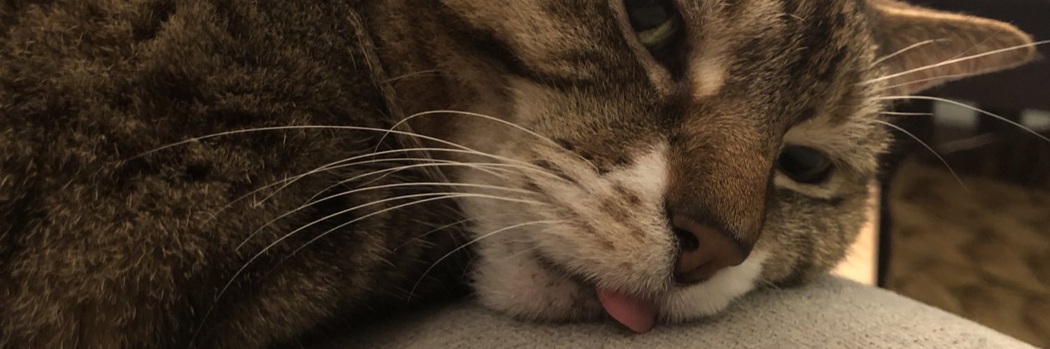 ramblinsammm's profile banner image