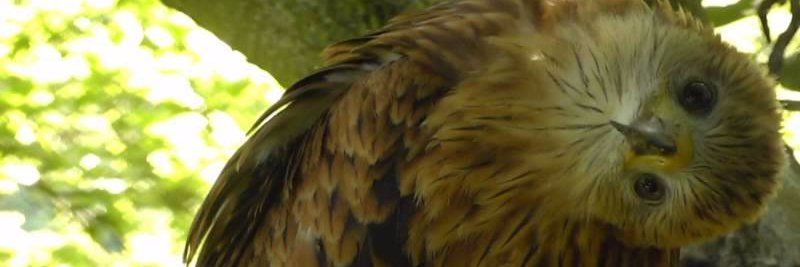 hutton1610's profile banner image