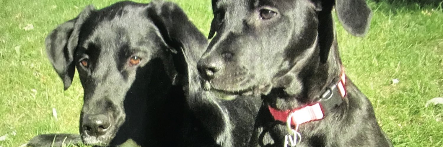 ktperrythomas23's profile banner image