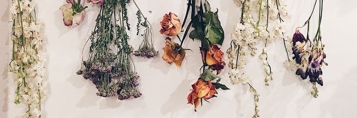 kwemiaw's profile banner image