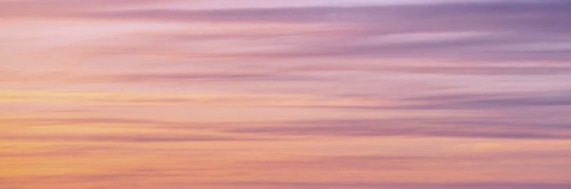 liddlesunshine's profile banner image