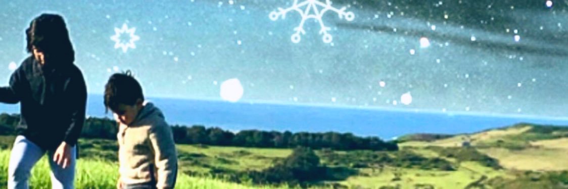 snmfq's profile banner image