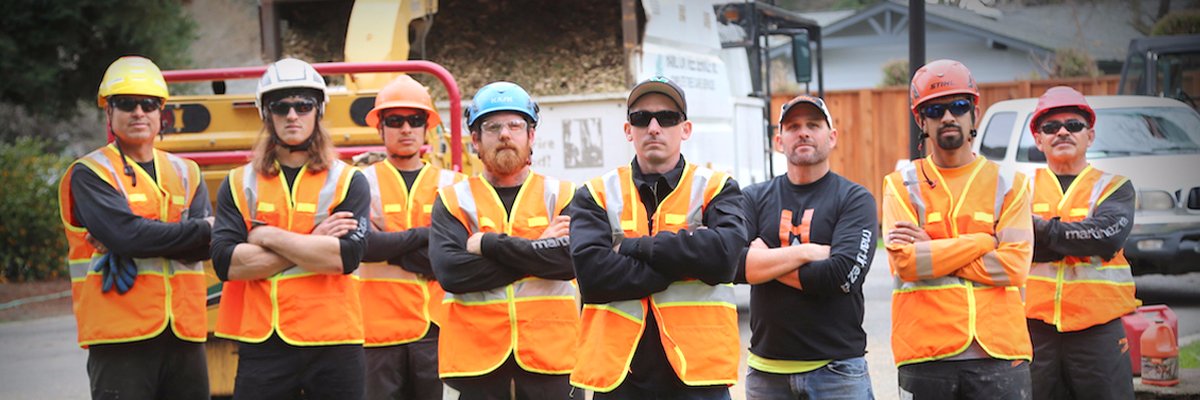 Vermeer Tree Care banner