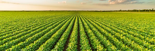 adaptcouncil Profile Banner