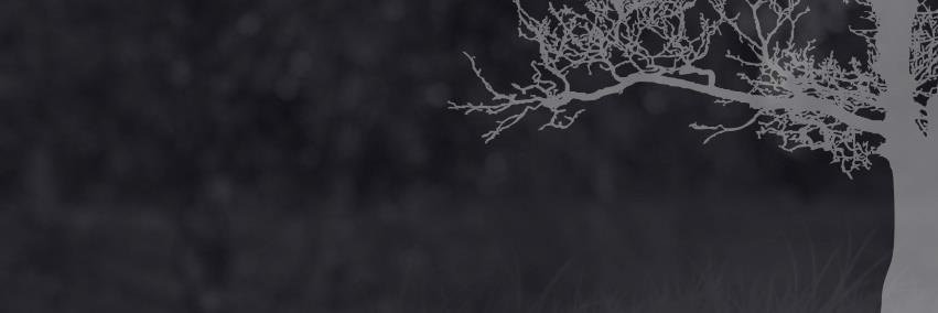 BerntALarsen's profile banner image