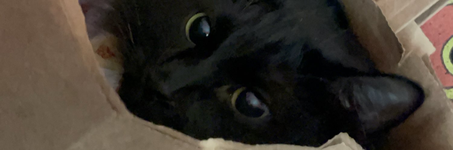 lenktillman's profile banner image