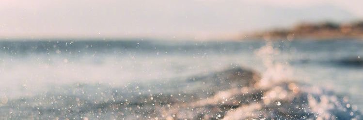 Naoomidl_'s profile banner image