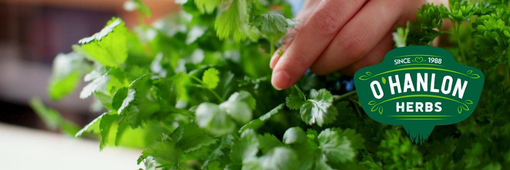 O'Hanlon Herbs banner