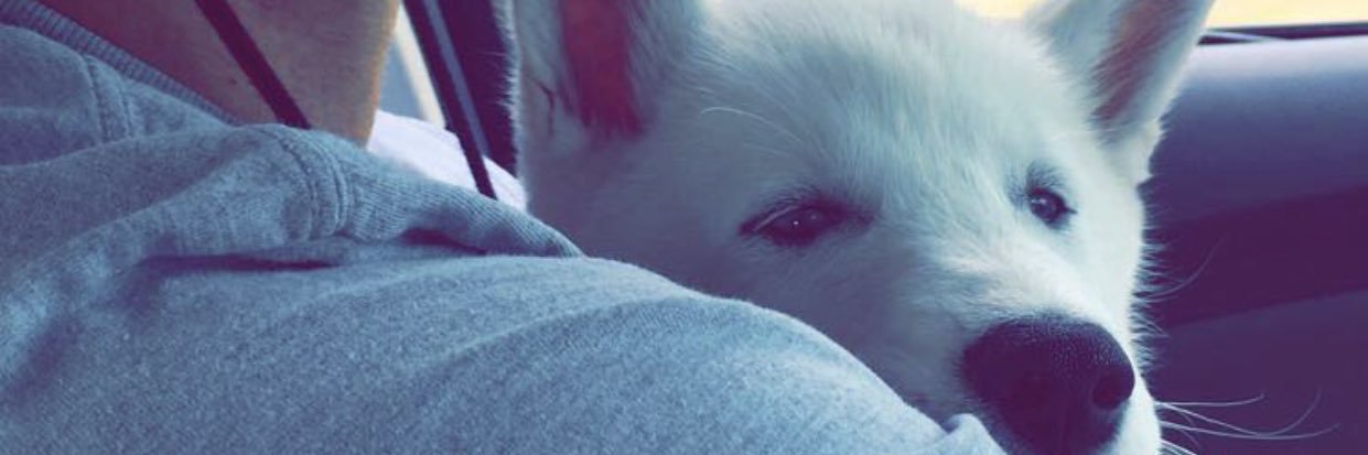 francyhuh's profile banner image