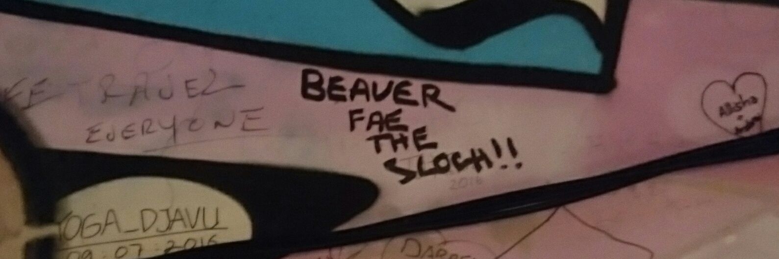 Beaver banner