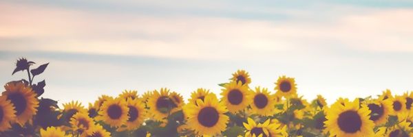 uhukxx's profile banner image