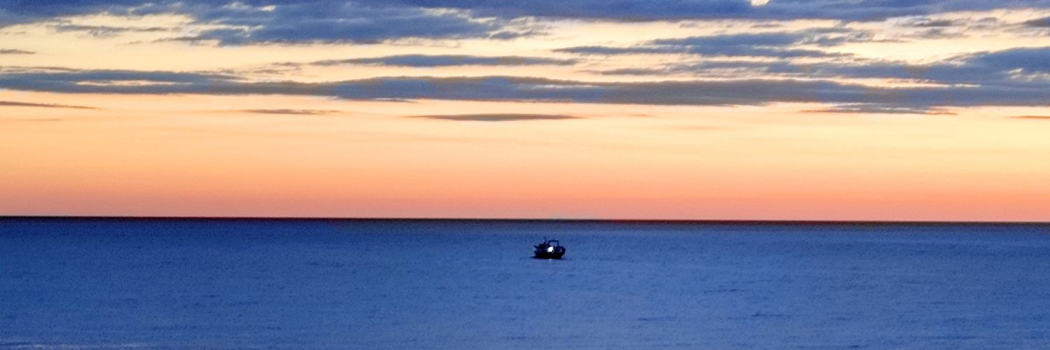 coquialvarez's profile banner image