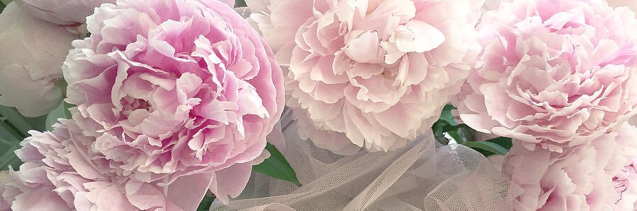 Harleewootton's profile banner image
