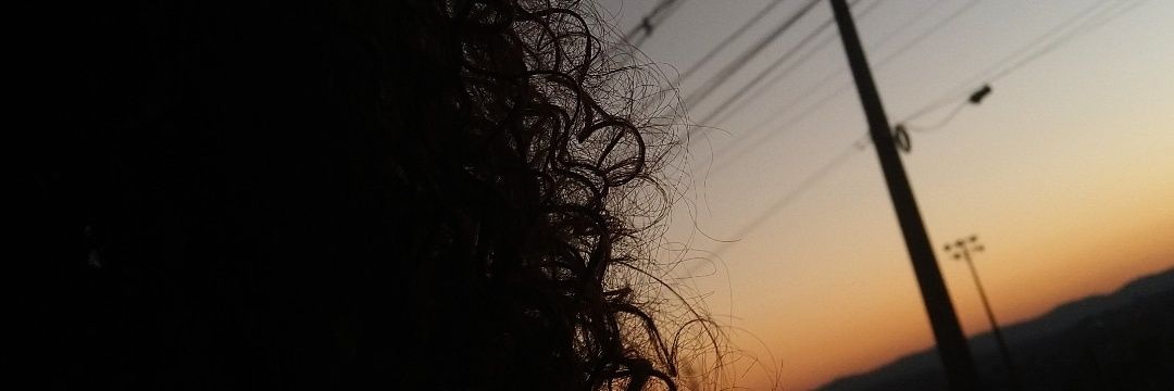 Aneleh321's profile banner image