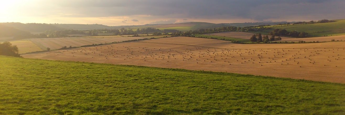 James Sainsbury banner