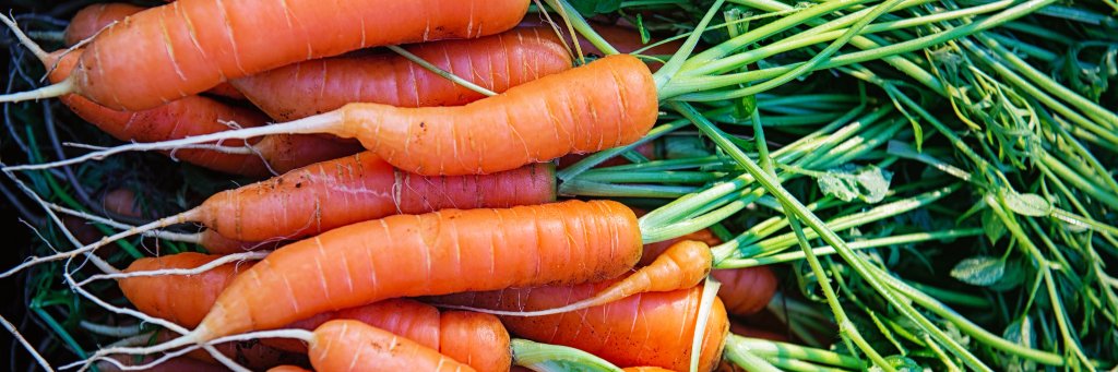 ubcdietetics's profile banner image