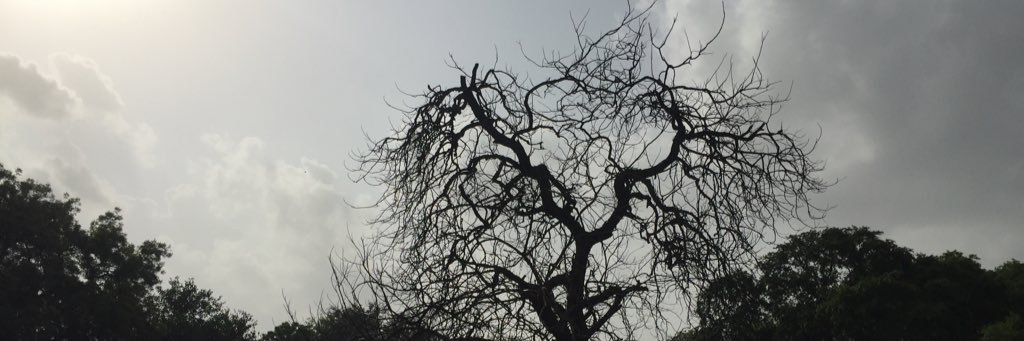 Dr. Hashim Azeez banner