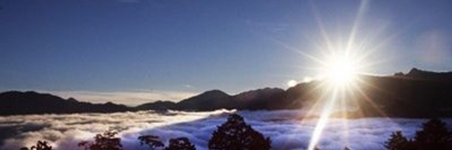 olivesnon's profile banner image
