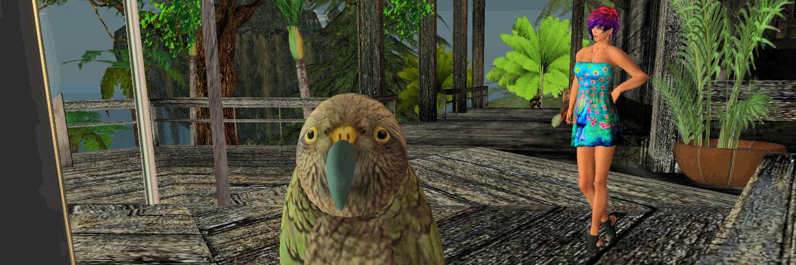 KiwiAliceM's profile banner image