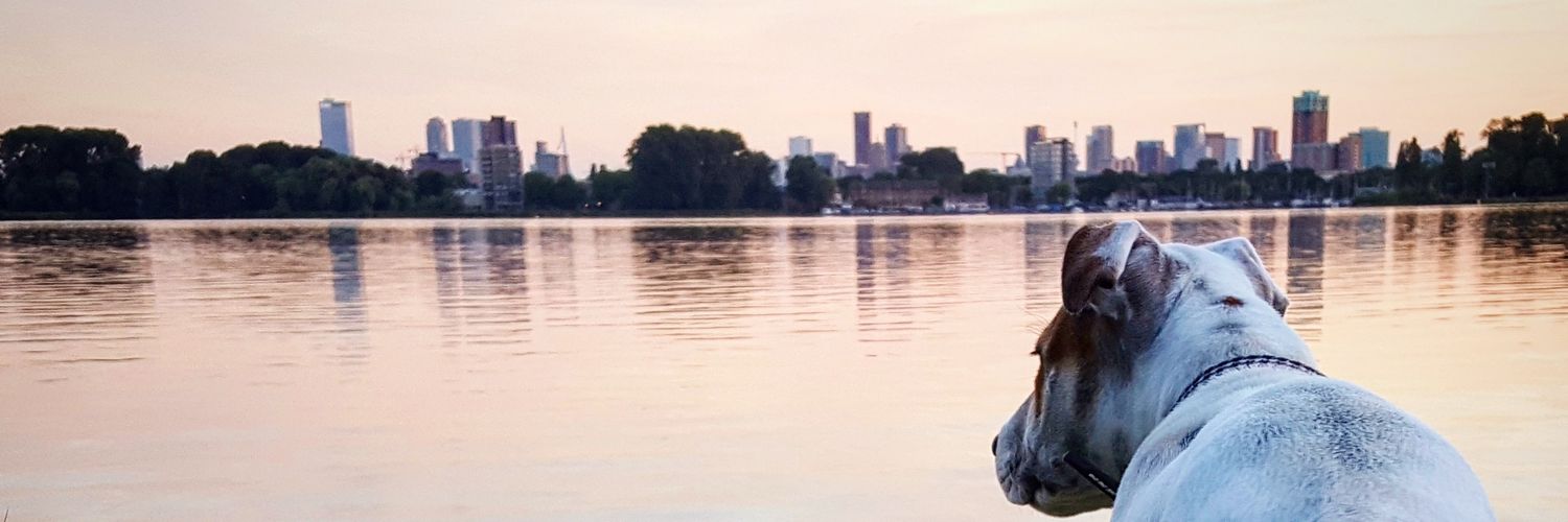 Uitschot010's profile banner image