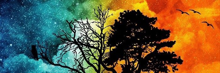 Yecarty's profile banner image
