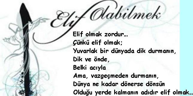 halilzbek2's profile banner image