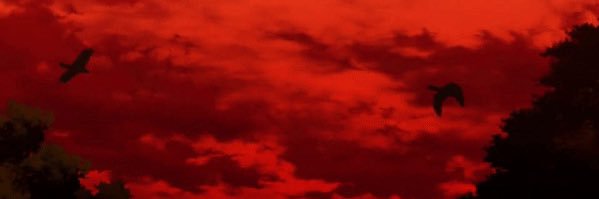 vince banner
