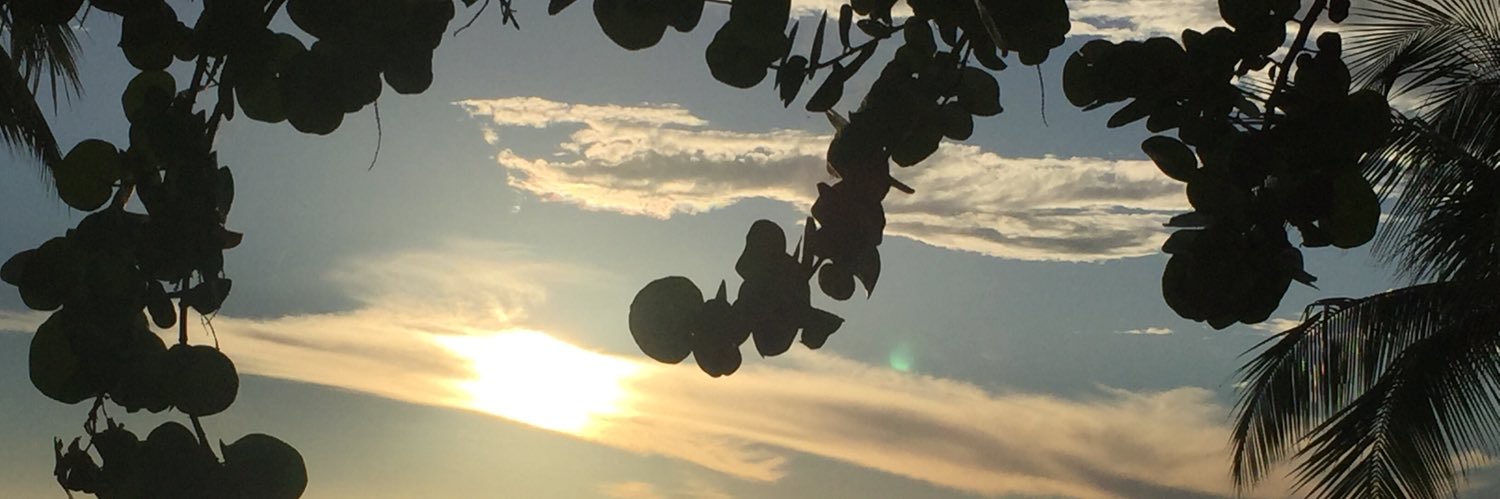 Acuarela5's profile banner image